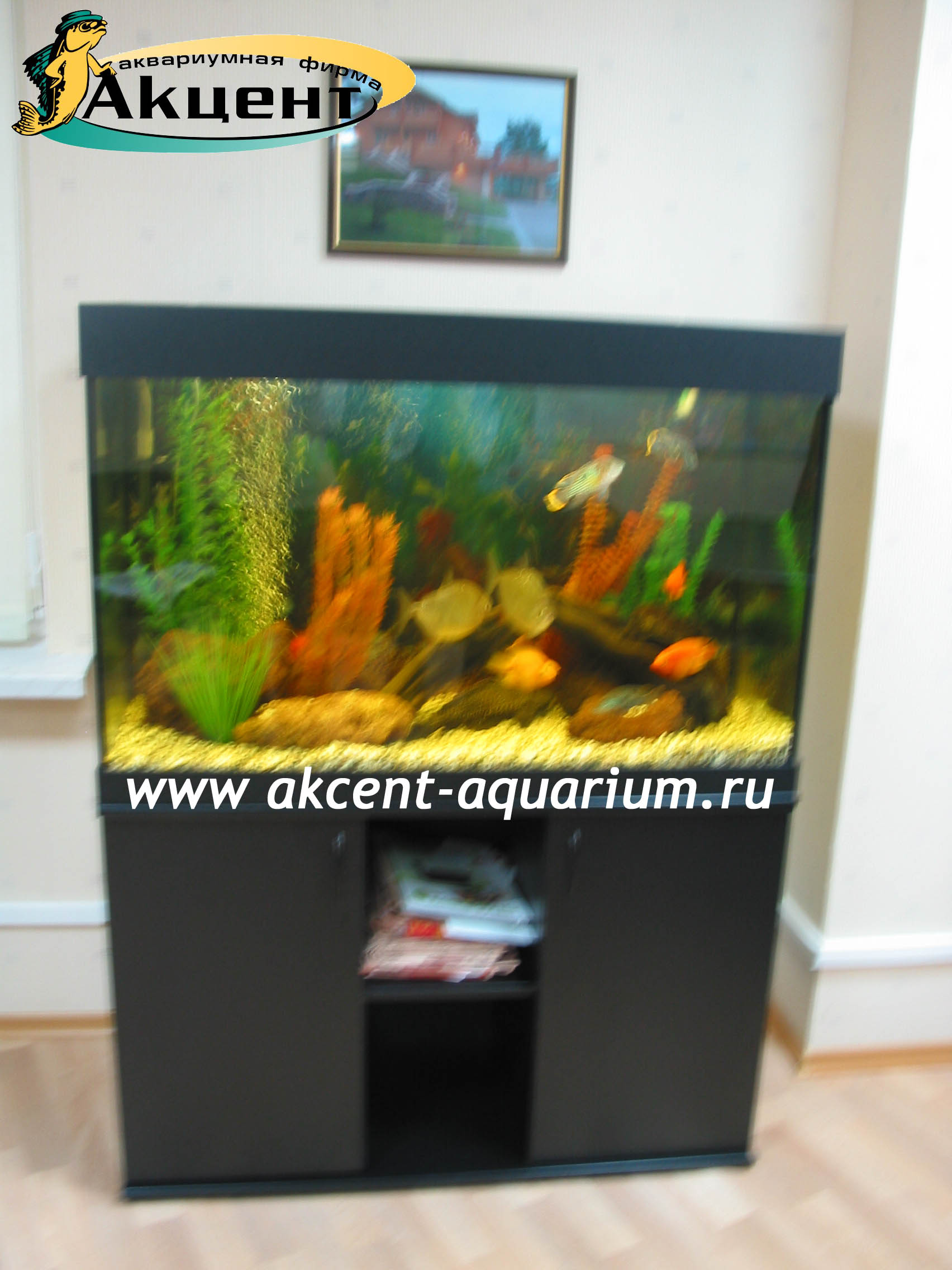 Акцент-аквариум,аквариум 350 литров